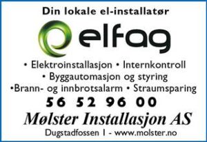 Elfag