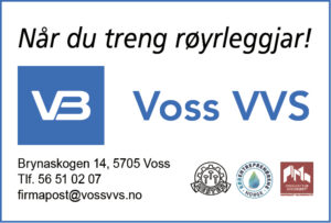 Voss VVS